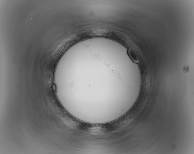 X0000111370505200907241249