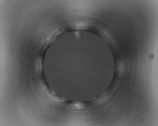 X0000111370506200907241249