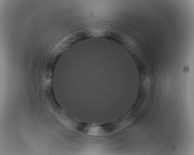 X0000111370507200907241249