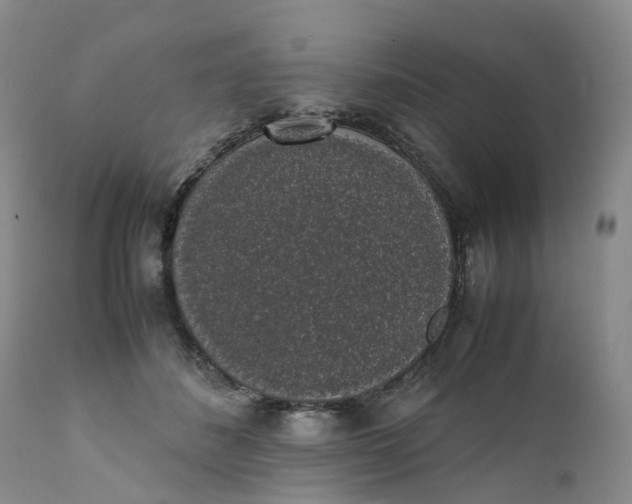 X0000111370508200907241249