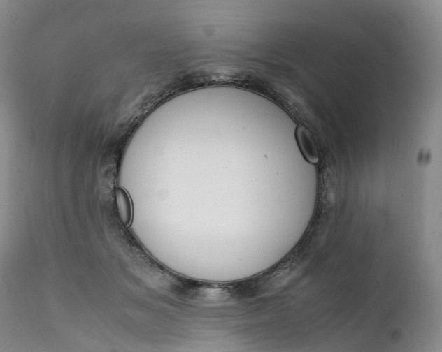 X0000111370509200907241249