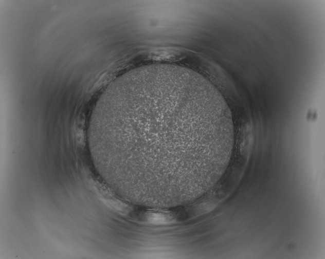 X0000111370510200907241249