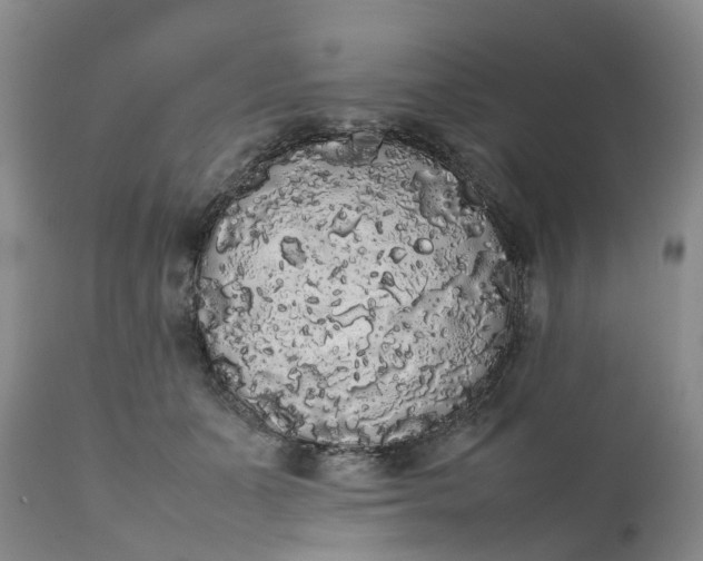 X0000111370511200907241249