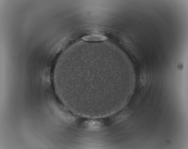 X0000111370512200907241249