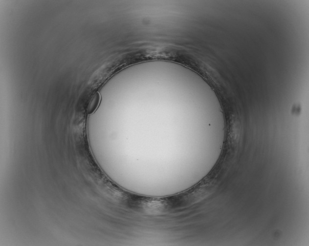 X0000111370513200907241249