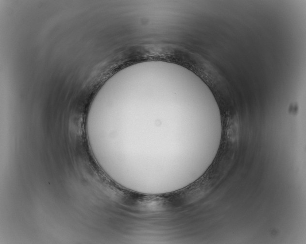 X0000111370514200907241249