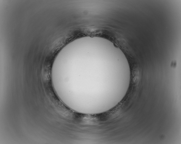 X0000111370515200907241249