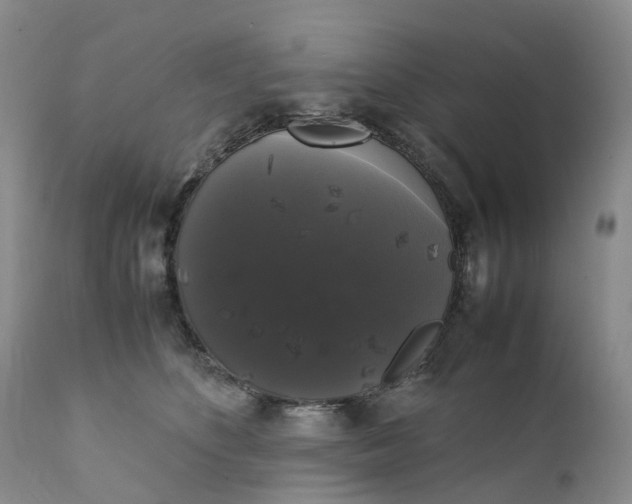 X0000111370516200907241249