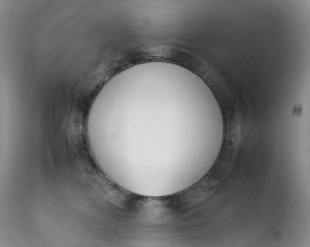 X0000111370518200907241249