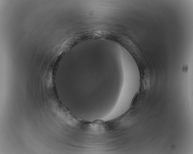 X0000111370520200907241249