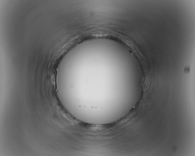 X0000111370521200907241249