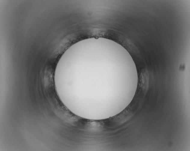 X0000111370522200907241249