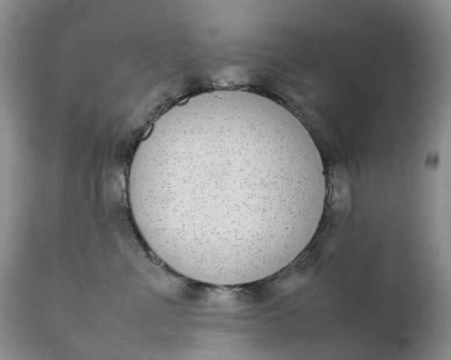 X0000111370523200907241249