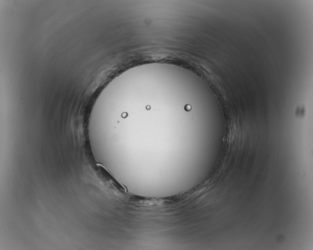 X0000111370524200907241248