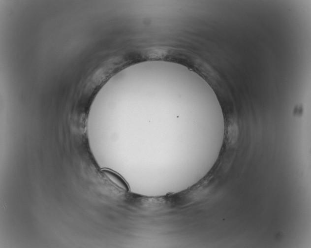 X0000111370525200907241248