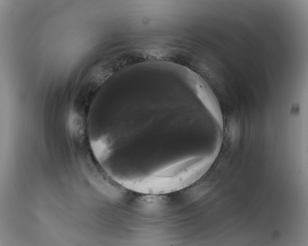 X0000111370526200907241248