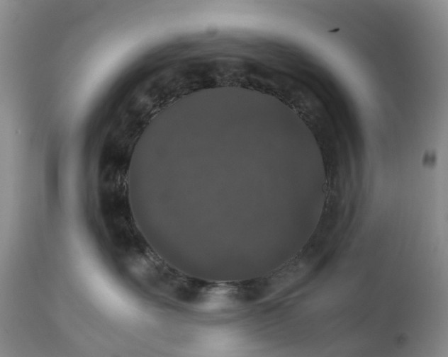 X0000111370527200907241248