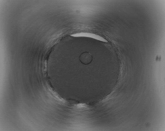 X0000111370528200907241248