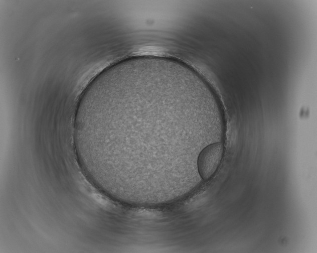 X0000111370529200907241248