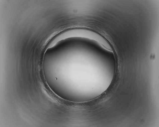 X0000111370530200907241248