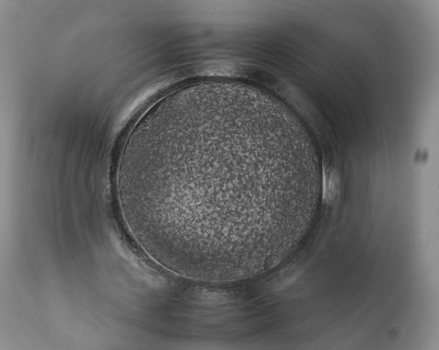 X0000111370531200907241248