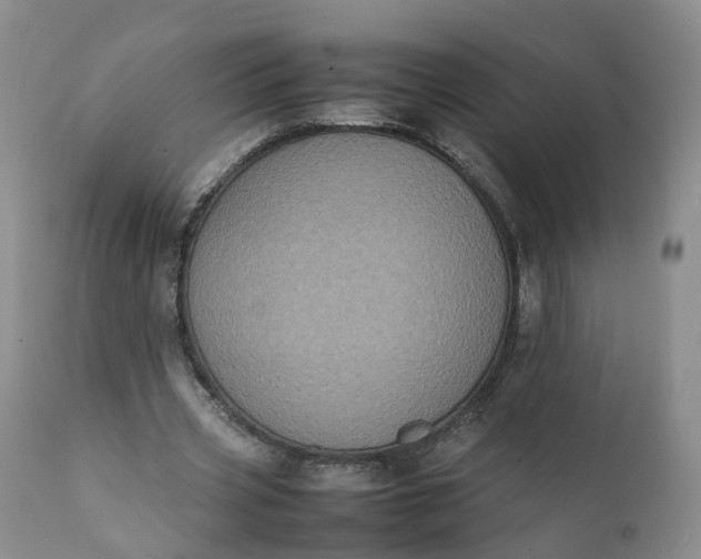 X0000111370533200907241248