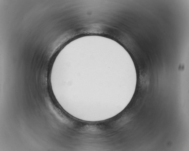 X0000111370534200907241248