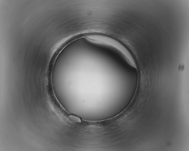 X0000111370536200907241248