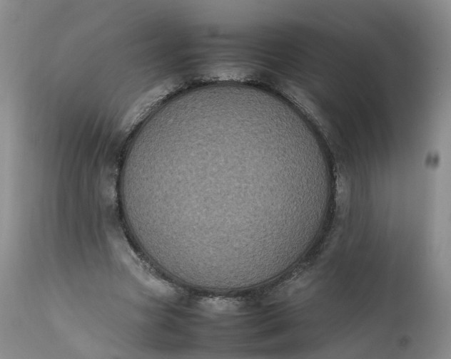 X0000111370537200907241248