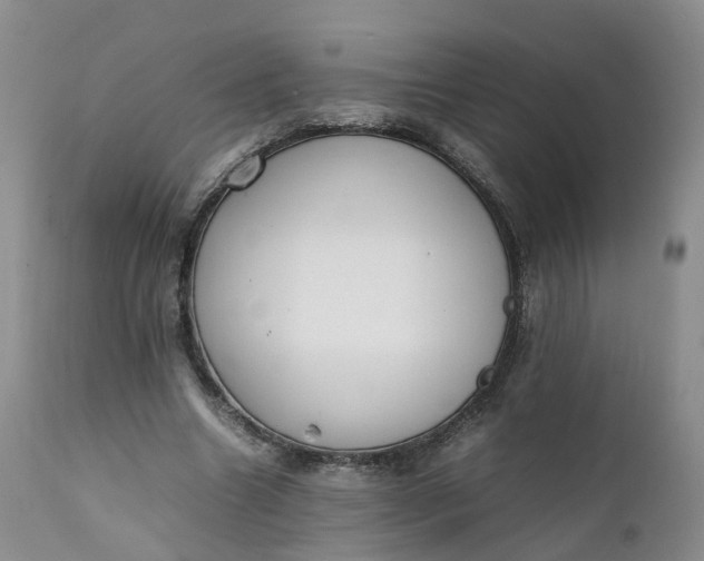 X0000111370538200907241248