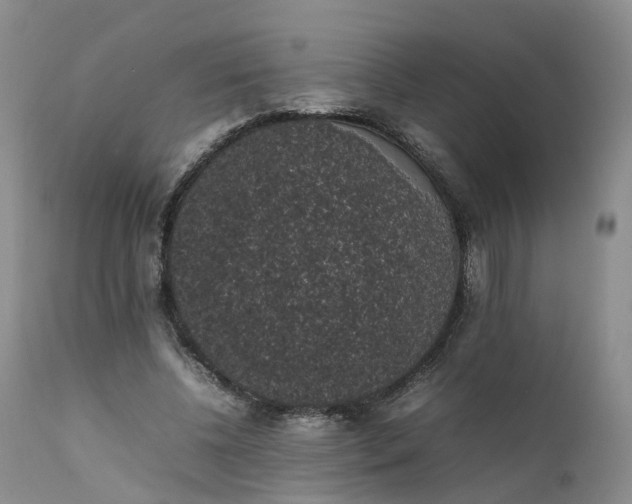 X0000111370540200907241248