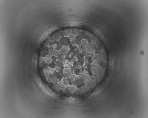 X0000111370542200907241248