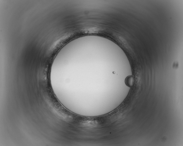 X0000111370543200907241248