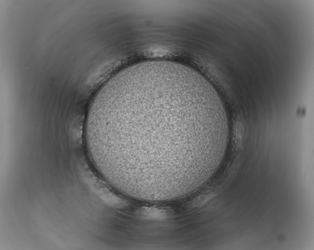 X0000111370545200907241248