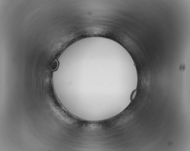 X0000111370546200907241248