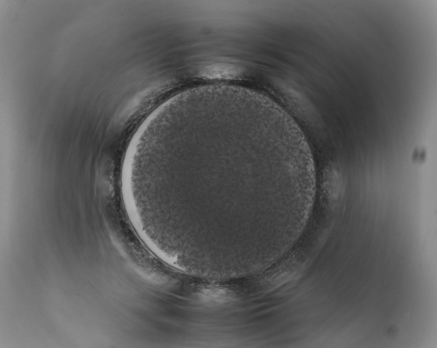 X0000111370547200907241248