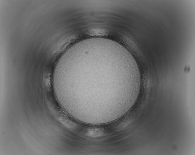 X0000111370549200907241248