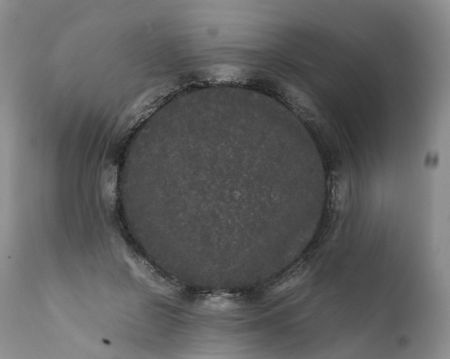 X0000111370550200907241248