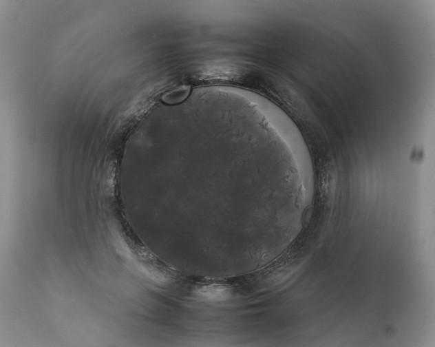 X0000111370551200907241248