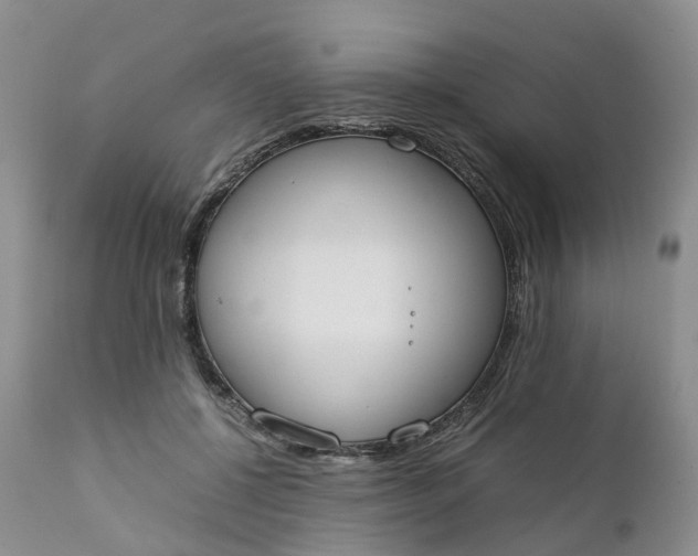 X0000111370552200907241248