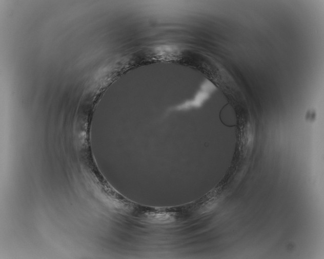 X0000111370553200907241248