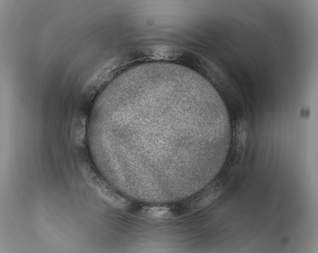 X0000111370554200907241248