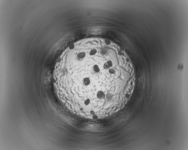 X0000111370555200907241248