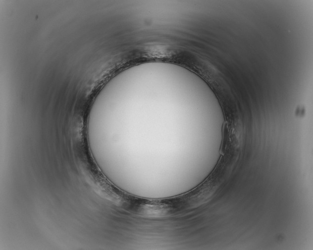 X0000111370556200907241248