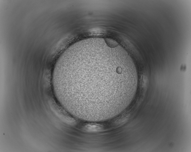 X0000111370557200907241248