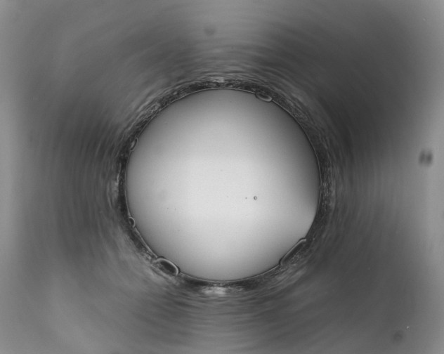 X0000111370558200907241248