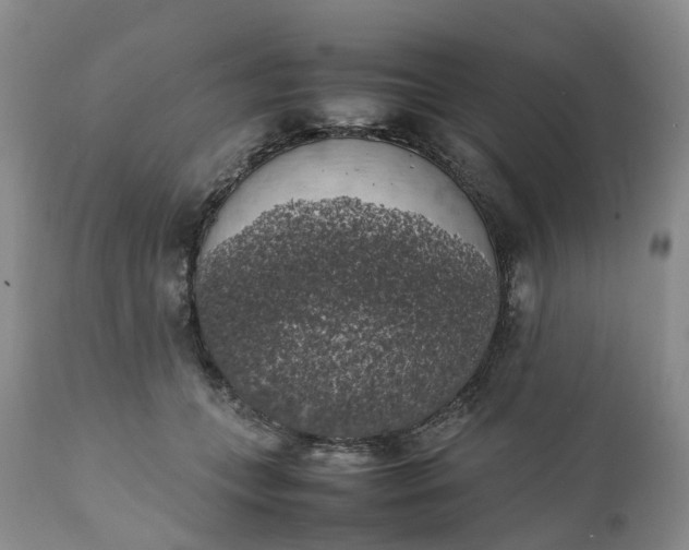 X0000111370559200907241248