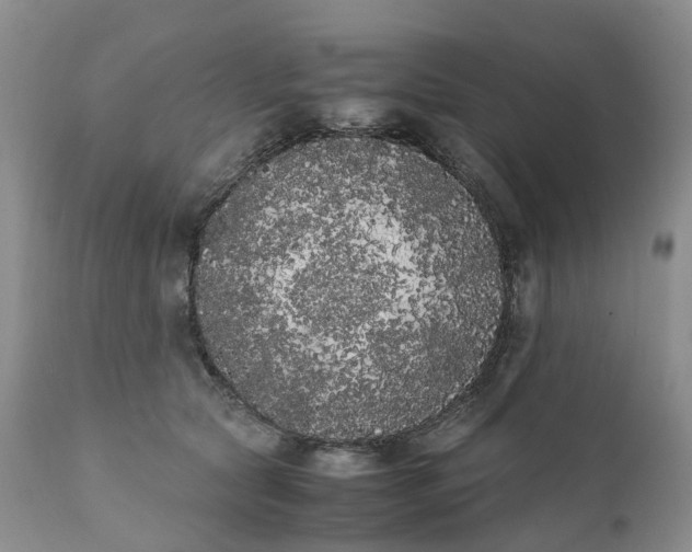 X0000111370561200907241248