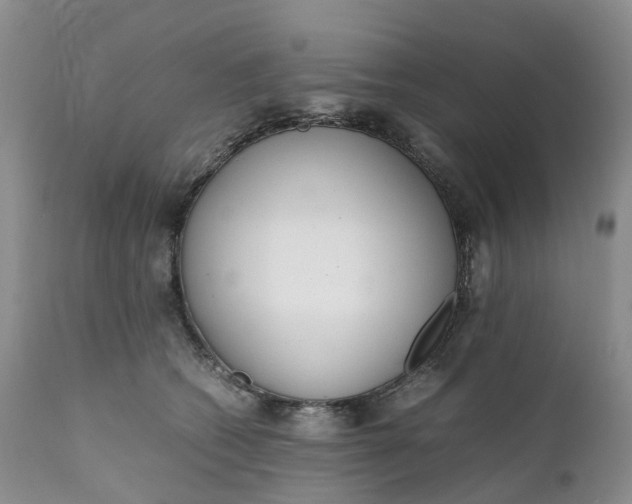 X0000111370562200907241248