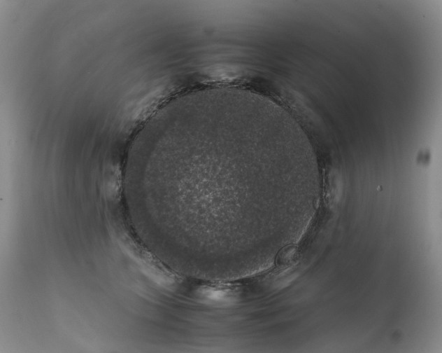 X0000111370563200907241248